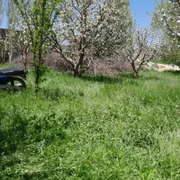 فروش باغ|فروش زمین و ملک کلنگی|شاهین دژ, |دیوار