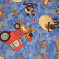 موکت اتاق سالم