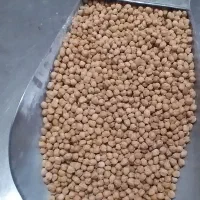 نخود زودپز درشت تازه آبگوشتی