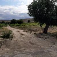 فروش-زمین-باغی-مشگین-شهر