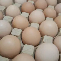 ویزیتور و بازاریاب