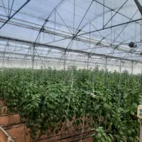 فروش گلخانه صنعتی