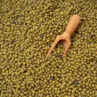 ماش امسالی به شرط پخت