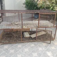 قفسه مرغ دو طبقه