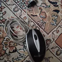 موس سالم نو