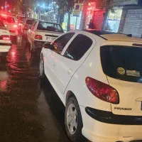 206تیپ3پانا 401