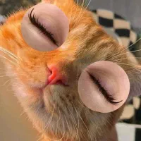 کاشت موقت مژه|خدمات آرایشگری و زیبایی|مشهد, فرهنگ|دیوار