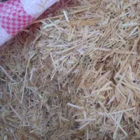 سلام   کاه  کمپاین  فروشی