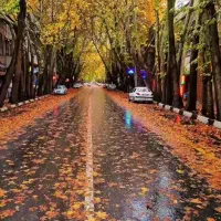 پاداش رایگان طلا برای همه دو برابر بقیه با کد زیر