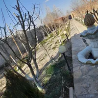 گلکاری درخت کاری سمپاشی جابجای خاک گلدان وباغچه|خدمات باغبانی و درختکاری|مشهد, دانشجو|دیوار