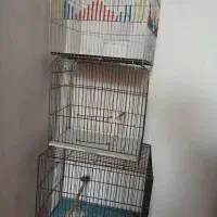 تعدادی قفس و لانه