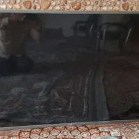 تلفزیون الجی ۴۹ اینج خیلی تمیزوسالم