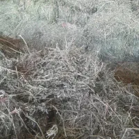 یونجه درجه یک بیستون|لوازم جانبی حیوانات|بیستون, |دیوار