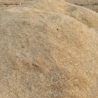 کاه گندم|لوازم جانبی حیوانات|کاکی, |دیوار