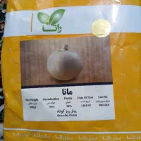 فروش غده پیاز پاکتی راتا