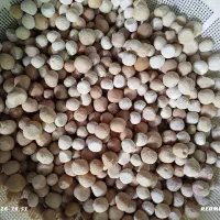 کره، روغن، کشک بز ۱۰۰٪ خالص