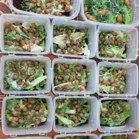 حلزون|خزنده|شیراز, قدوسی غربی|دیوار