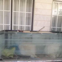 آکواریوم ۱۵۰ سانتی متری شیشه ضخیم