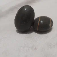 سنگ های باستانی