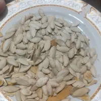 تخمه کدو