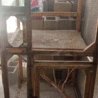 قفس|لوازم جانبی حیوانات|جهرم, |دیوار