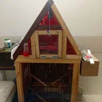 فروش قفس چوبی دستکش ساز شیک با عروس وکوتوله