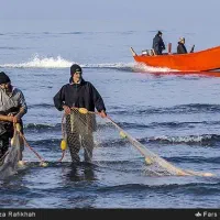 یک سهم از پره صیادی بفروش میرسد