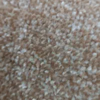 پالاز ظریف مصور