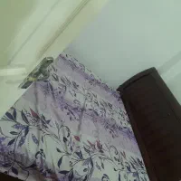 اجاره روزانه سویت|اجارهٔ کوتاه‌مدت آپارتمان و سوئیت|رشت, شهرک آیت الله منتظری|دیوار