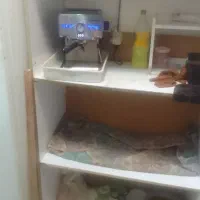 لوازم خانگی|کافی‌شاپ و رستوران|تربت‌حیدریه, باغ ملی|دیوار