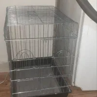 قفس|لوازم جانبی حیوانات|پاکدشت, پاکدشت (مامازند)|دیوار