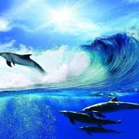 لاین نوری، سقف کشسان. اپوکسی، کناف|خدمات پیشه و مهارت|بومهن, |دیوار