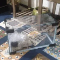 آکواریوم نو فروش فوری مفت گذاشتم