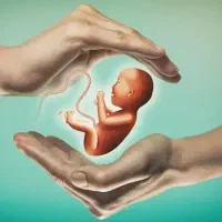 نیازمندی تعداد بانو جهت اهدای تخمک