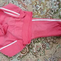 هودی شلوار نوی نو|لباس|گلبهار, شهر جدید گلبهار|دیوار