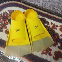 فین شنا