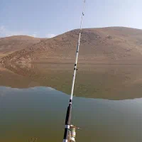 لنسر ماهیگیری