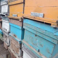 فروش فنس و کندو زنبور عسل|لوازم جانبی حیوانات|آق قلا, |دیوار