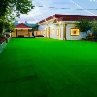 نمایندگی پخش چمن مصنوعی|گل مصنوعی|مرودشت, ژیان|دیوار