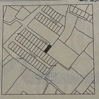 زمین ۲۰۰ متر راوند سند تک برگ.