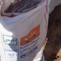 نیازمند کارگر ساده