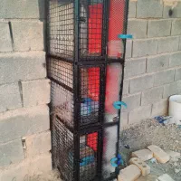 جفت کن اهنی کفتر کبوتر|لوازم جانبی حیوانات|آباده, |دیوار