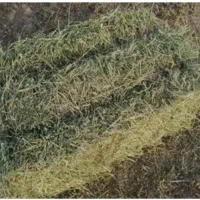یونجه خشک بسته بندی شده
