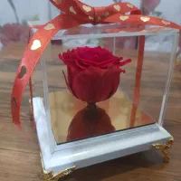 رز جاودان شیک|گل و گیاه طبیعی|تهران, افسریه جنوبی|دیوار