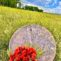 آموزش  دف نوازی     مدرس  خانم|خدمات آموزشی|قوچان, |دیوار