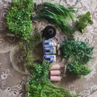 شن عربی گیاه مصنوعی آکواریوم|ماهی|شاهین‌شهر, عطار|دیوار