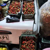 توت فرنگی محلی طبیعی  جهت شربت و مربا توت فرنگی