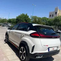 X33 cross