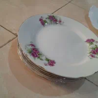 بشقاب گل سرخی