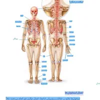 تدریس خصوصی تمام مقاطع